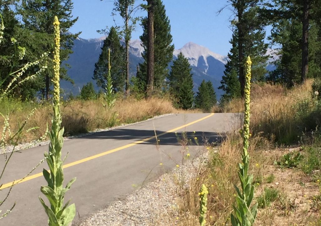 Westside Legacy Trail road 