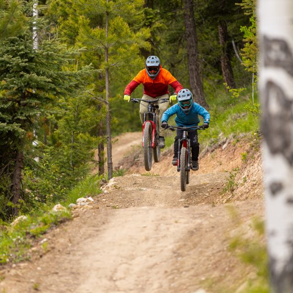 Activities in Panorama